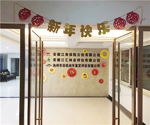 公司环境